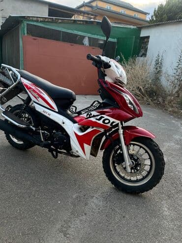 wolt şalvar: 50 sm3, 2024 il — 1