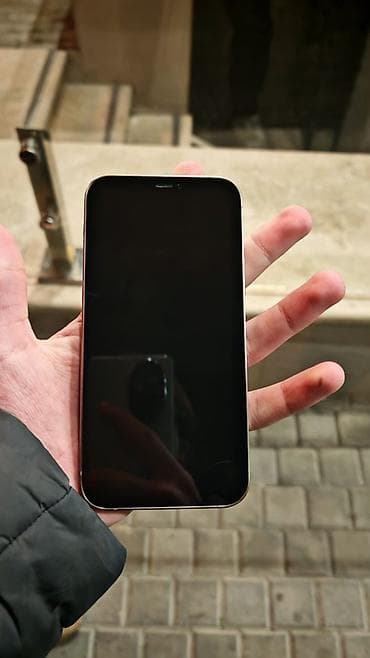 IPhone 12, 64 GB, Natural Titanium, Face ID