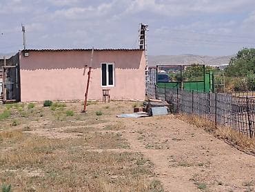 Haciqabulda ferma satılır.15 hektar.350kv.tikili.kənd tədərrüfatı lalafo.az -da Haciqabulda ferma satılır.15 hektar.350kv.tikili.kənd tədərrüfatı