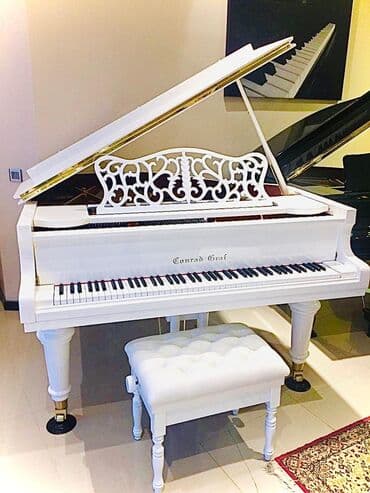 malık zeynalov: ROYAL.Conrad Graf DE161S Eksklüziv qaydada rəsmi distribyutoru — 1