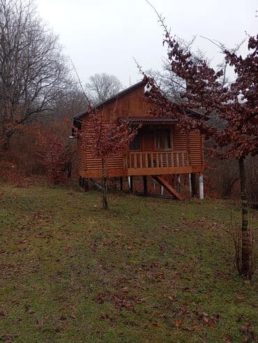 kirayə aylıq: 3000 kv. m, 3 otaqlı — 19