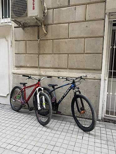 crolan: Tormuzlar tektro cüt, cst bft yeyilmeyib teze, lunje rul, hassns vıns — 10