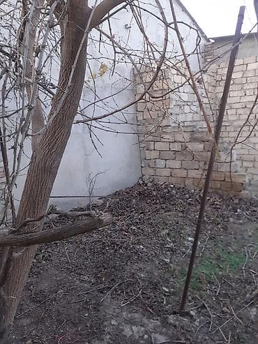 bag evleri: Sumqayıt Esmira şadlıq eviylə üzbəüz yoldan 80 -100 m aralıda 2 otaqlı — 7
