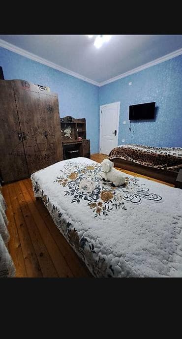 masalli ev: Corat bağları 33 nömrəli marşutun yolu yaxınlığında, Qardaşlar — 4