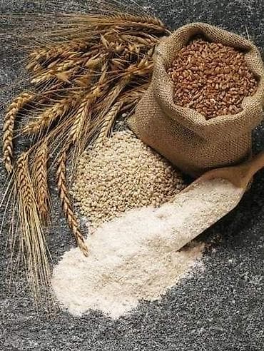 Arpa satılır. Yemlik 2 riyad arpadır. 50 ton