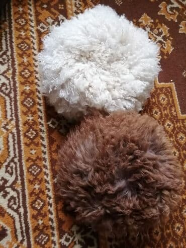 kişilər ucun papaq və şarf dəstləri: Temiz deri — 1