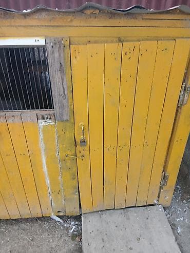Heyvanlar üçün mallar: Taxta Quşxana 30 40 ədəd quş tutur - Material: ağac karkas, daxili — 8