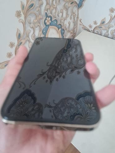 iphone 11 pro max adapter: IPhone 12 Pro Max, 256 GB, Gümüşü — 3