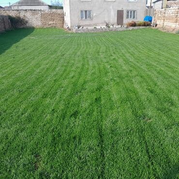 banan agaci: Qazon sivarsi
catrlmasi qurasrmasi
xidmetinizdeyik — 6