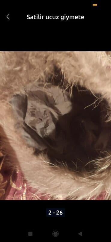 atlas parça qiyməti: SATILIR DOWEK UZU 5 MANATLENT 5 MANAT MUNCUGLAR 50 GEPIK — 14