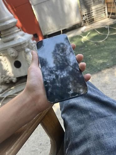 irşad 13 pro max: IPhone 13 Pro Max, Sierra Blue — 1