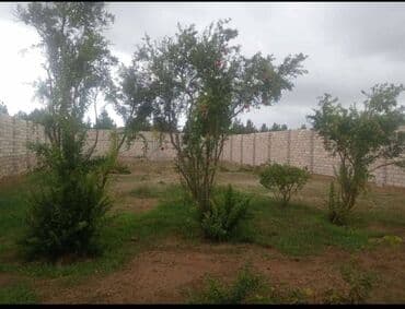 xacmazda torpaq satilir 2021: 6 sot, Tikinti, Makler, Kupça (Çıxarış) — 4