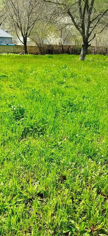 недвижимость в баку: 10 соток, Для сельского хозяйства, Купчая — 5