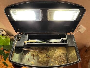 Asia: Salam, akvarium zavod istehsalıdı 65litr, içərisində daxili və xarici — 3