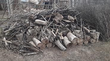 Odun və budaq yığıntısı – soba, manqal, samovar və ocaq üçün. -