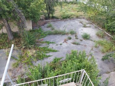 ucar: 30 sot, Biznes üçün, Mülkiyyətçi, Kupça (Çıxarış) — 8