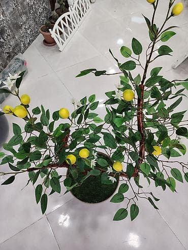 dekorativ guller: Dekorativ süni limon ağacı – qablarda - Realistik görünüşlü süni — 3