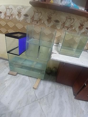 heyvanlar: Akvaryum və şüşə sump/akva-bölmələr dəsti - Fərqli ölçülərdə bir neçə — 2