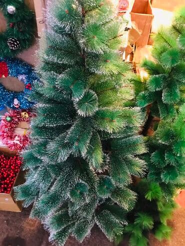 avokado ağacı: Yolka satisi teze mallar endirimde Yeni il agaci 210 sm Diger — 2