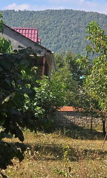 taxta evlerin qiymeti: 17 sot, Mülkiyyətçi, Kupça (Çıxarış) — 4