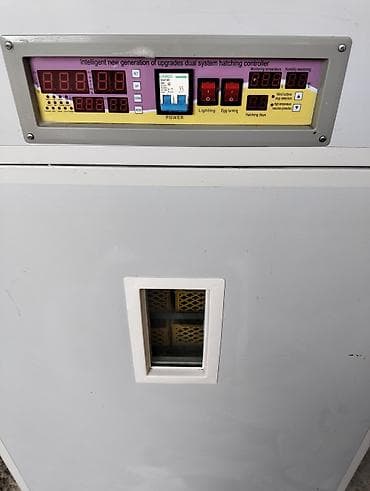 Аренда оборудования: 1500 яиц, Полностью автоматическая — 3