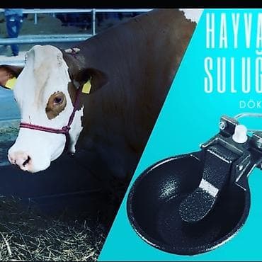 xaski it adlari: Yem qabı, Su üçün, Heyvanlar üçün, Ünvandan götürmə, Ödənişli çatdırılma — 3