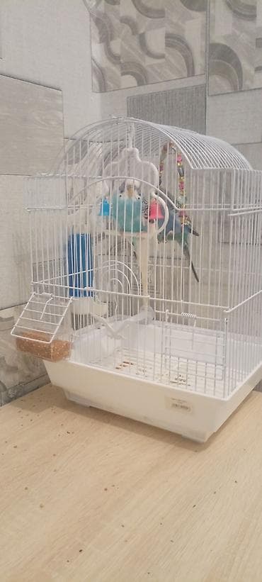 Ağ metal qəfəs – undulat və digər xırda quşlar üçün - Material