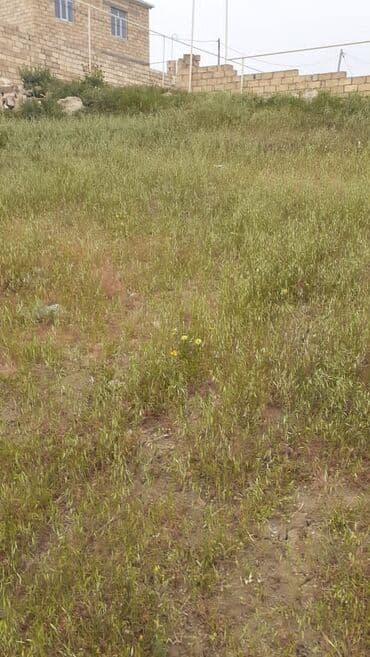 Lexus: 8 sot, Tikinti, Bələdiyyə — 6