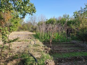 ehmedlide torpaq satilir: 6 sot, Mülkiyyətçi, Kupça (Çıxarış) — 3