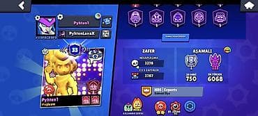 Digər kolleksiyalar: Brawl Stars oyun hesabı - Kupa sayı: 53 048 - Prestij: 33 - — 3