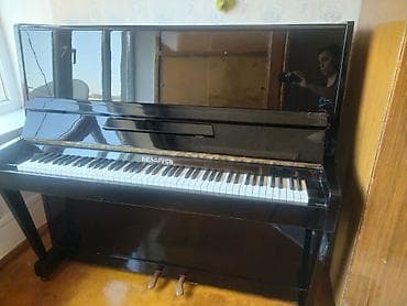 piyanino: Piano, Belarus, Akustik — 1