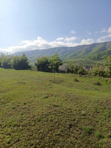 продается земельный участок: 30 sot, Tikinti, Mülkiyyətçi, Kupça (Çıxarış) — 7