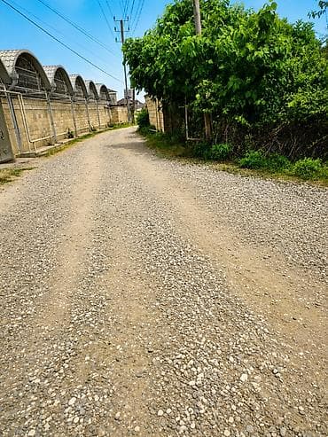 10 sot, Tikinti, Mülkiyyətçi, Kupça (Çıxarış)