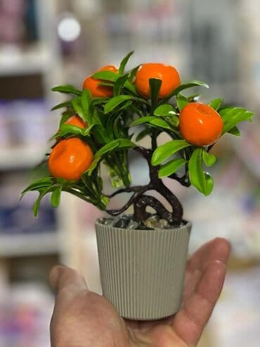 meyve agaci: Dekor meyve ağacı
Türkiye istehsalı — 2