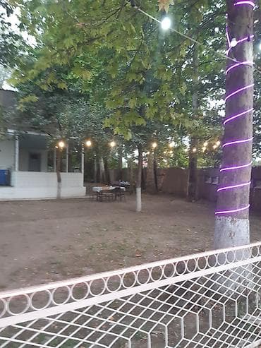 bağ evi novxanı: Nərgiz kafesine ofsiyant xanım teleb olnur maaş 30 azn +yimək çayavoy — 8