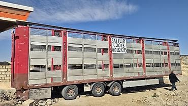 ot yem üyüdən: Heyvan daşıma üçün yarımqoşqu – 3 oxlu Xüsusiyyətlər: - Tip: Canlı — 3