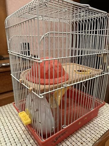 Yataqlar: Sağlam veziyyetdedir lakin şekilde işaretlenen yer qırıqdır oda heç — 1