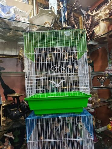 quş qəfəsləri: Qəfəs 9azn Valnisti Tutuquşu Qəfəsi 9azn Amadin Bülbül Qəfəsi 9azn — 3
