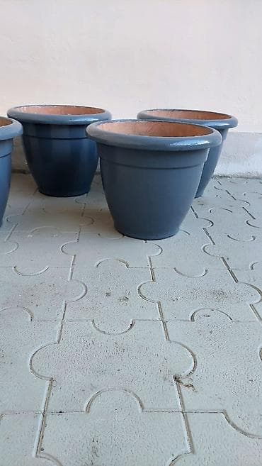 lladro baku: Dibçəklər. bir ədədi 15 manat. 8 ədəddir. Əla vəziyyətdədir — 6