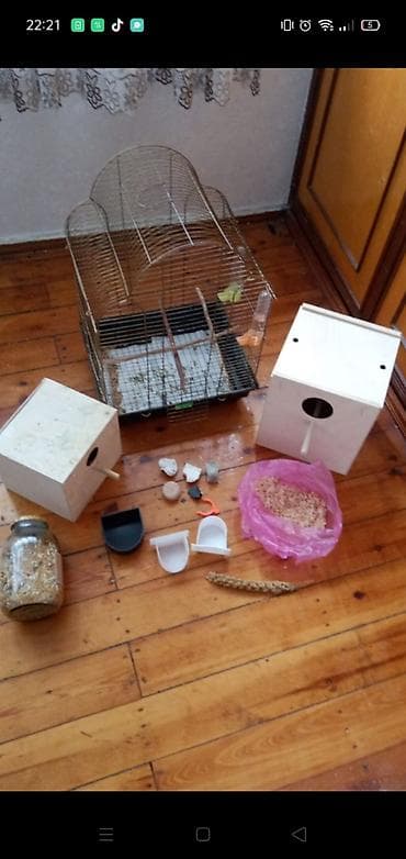 Digər heyvanlar: Quşçuluq dəsti – qəfəs və aksesuarlar - Metal quş qəfəsi: üst hissəsi — 2