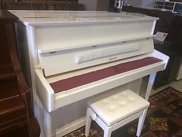 qədimi pullar: Royal ve Pianolar. Royal Musiqi Aletleri salonu sizlere genish — 1