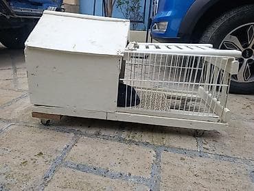 ev dovsani: Heyvan daşıma və saxlanma üçün taxta-metal qəfəs/yuva - Material — 4