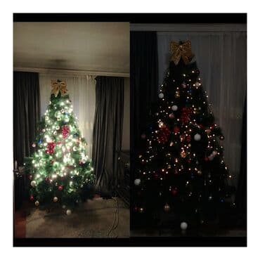 Yolka 2.10 hündürlük 230AZN satilir 1 dəfə keçən il 2 3 saatlıq qurub lalafo.az -da Yolka 2.10 hündürlük 230AZN satilir 1 dəfə keçən il 2 3 saatlıq qurub