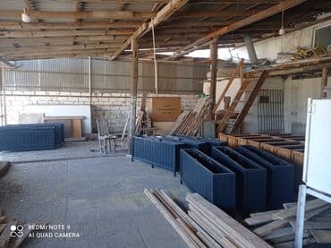 Dibçək güldanlar. Dipçəklər bir başa sexdən.Sex qiymətinə. ♦️Endrim lalafo.az -da Dibçək güldanlar. Dipçəklər bir başa sexdən.Sex qiymətinə. ♦️Endrim