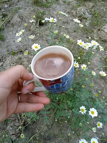 семейные общежития: Ekoturizm kənd həyatı təcrübəsi – dağ kəndində ailəvi istirahət — 2