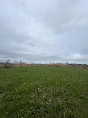 seki torpaq: 130 sot, Kənd təsərrüfatı, Kupça (Çıxarış), Bələdiyyə, Müqavilə — 3