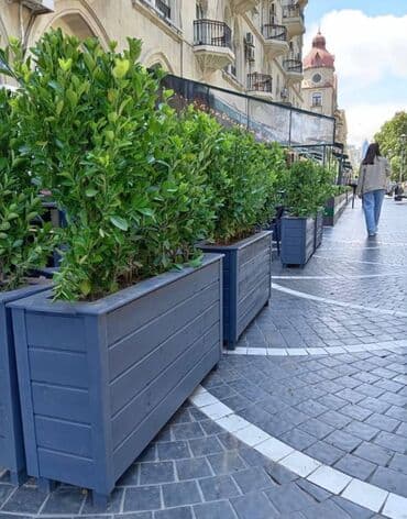 dibcek gullerinin adlari: Bu taxda dipçekin ölçusu 100x30x55 Bu standart alinan ölçudur — 14