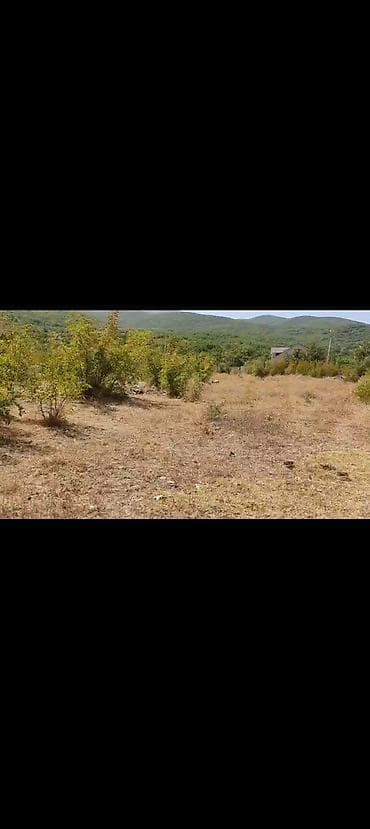 yeni emlak gence: 12 sot, Kupça (Çıxarış) — 1