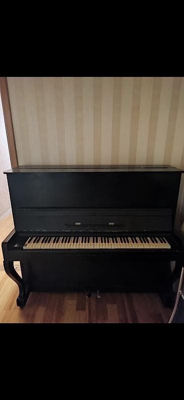 klasik gitara: - Korpus: klassik düz (upright) model, qara rəngli ağac örtük - — 3