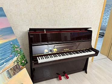 Piano, Petrof, Akustik, İşlənmiş — 3